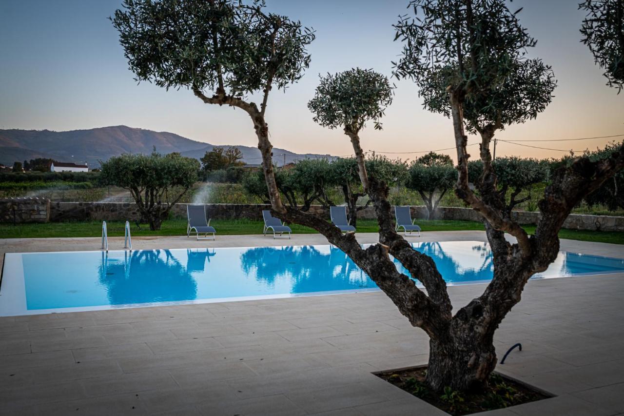 Quinta Das Oliveiras Turismo Rural Fundão Екстериор снимка