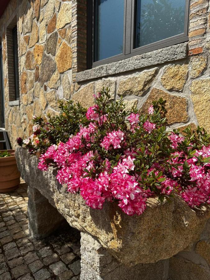 Quinta Das Oliveiras Turismo Rural Fundão Екстериор снимка